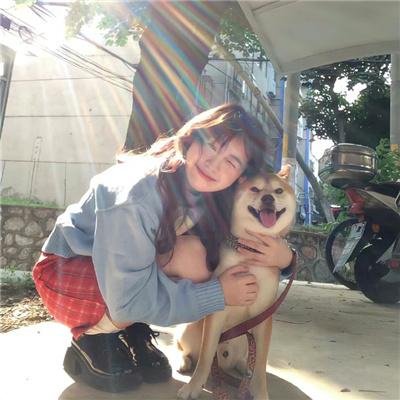 军犬麦克斯2:白宫英雄 海报