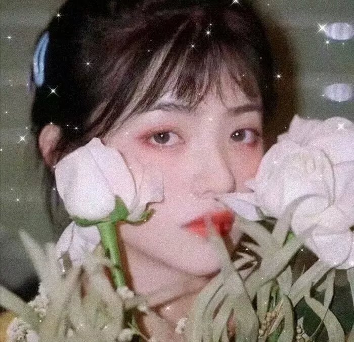 镜头下的爱情 海报